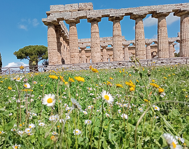 Paestum Tempel